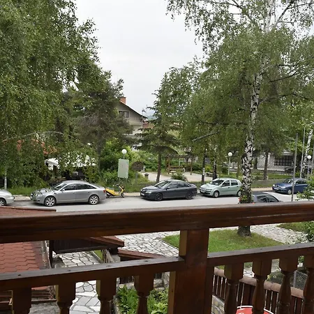 Kamenitsa Welingrad